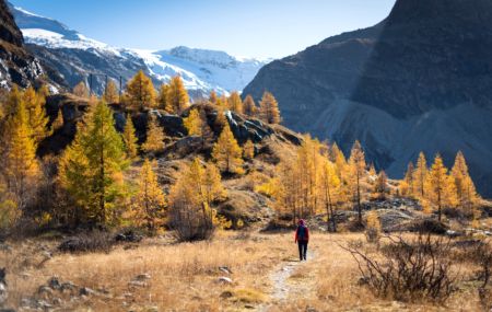 L’air pur de la montagne